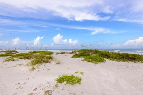 Aqua;Beach;Beige;Birds;Blue;Cloud;Cloud Formation;Clouds;Coast;Coastline;Color;Flight;Green;Ocean;Sand;Sea;Sea Oats;Seagull;Seascape;Shore;Shoreline;Sky;Tan;Waves;Weather;in flight
